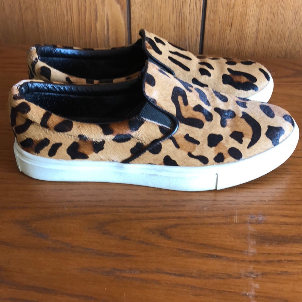 STEVE MADDEN Lepoard print sneakers - Picture 2 of 8